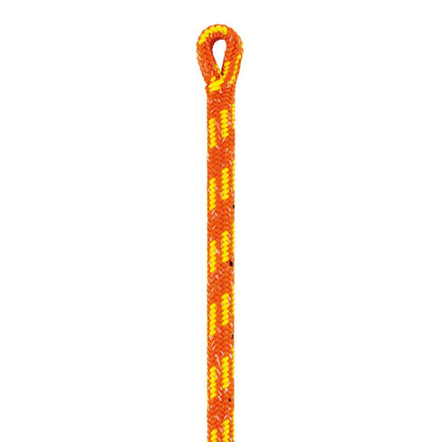 コントロール 12.5mm
